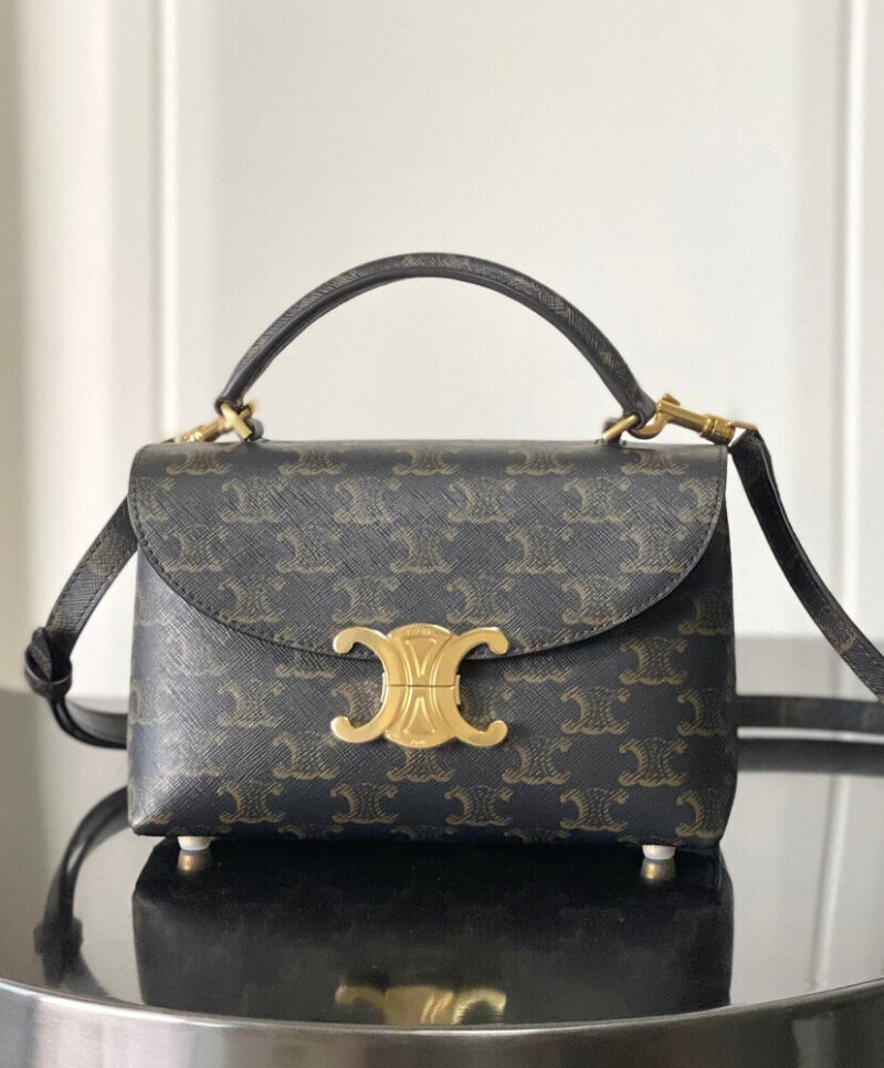 Celine Teen Nino Bag In Triomphe Canvas Coffee